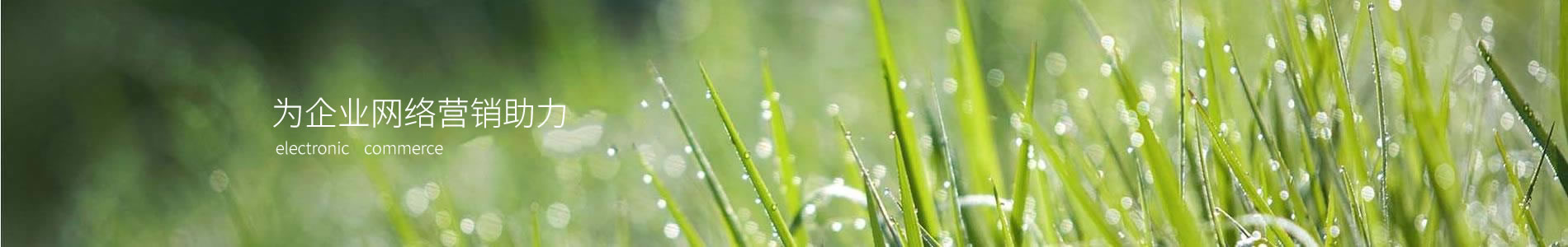 ɽеƼ޹˾